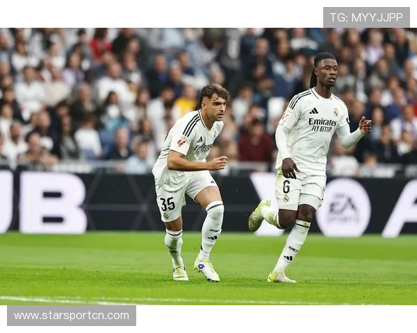 平博体育网站最新版本上线，全面优化用户体验与赛事覆盖